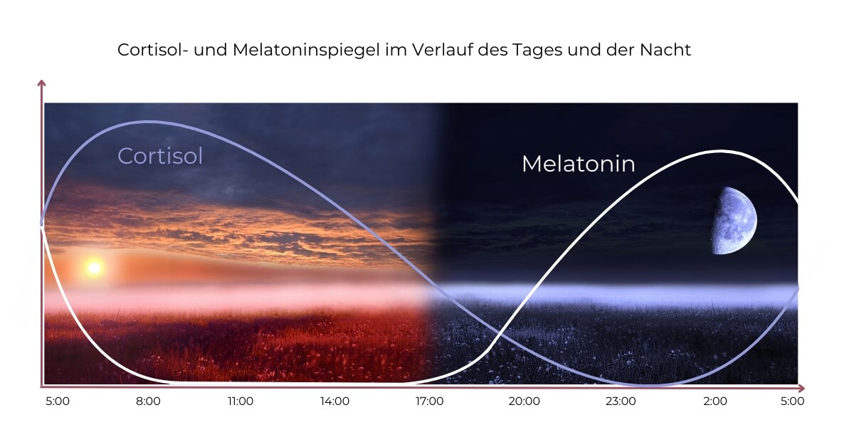 Verlauf der normalen Cortisol- und Melatoninspiegel am Tag und nachts