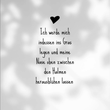 Ich werde mich indessen ins Gras legen und meine Nase oben zwischen den Halmen herausblühen lassen. Zitat aus Leonce und Lena von Georg Büchner